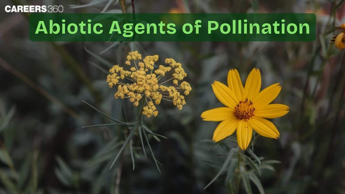 Abiotic Agents Of Pollination: Meaning, Types, Advantages, Examples